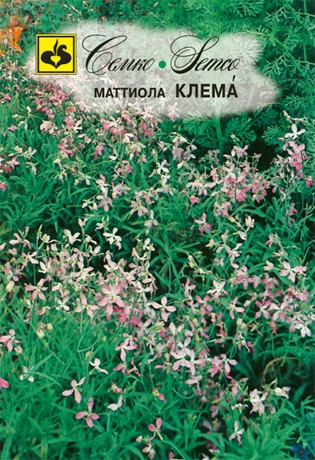 семена цветы маттиола клема 