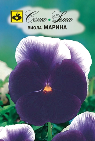 семена цветы виола марина 
