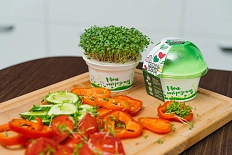 набор для выращивания "моя микрозелень кресс-салат" 