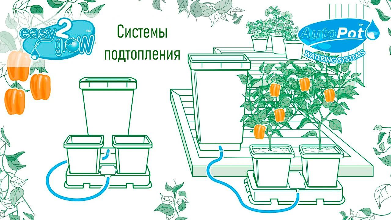 Поступление систем AutoPot