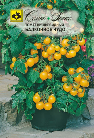 семена томат балконное чудо (жёлтое) 