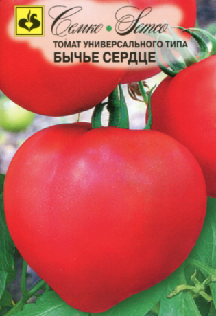 семена томат бычье сердце 