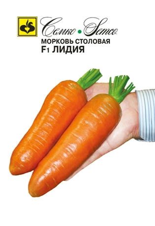 семена морковь лидия f1 